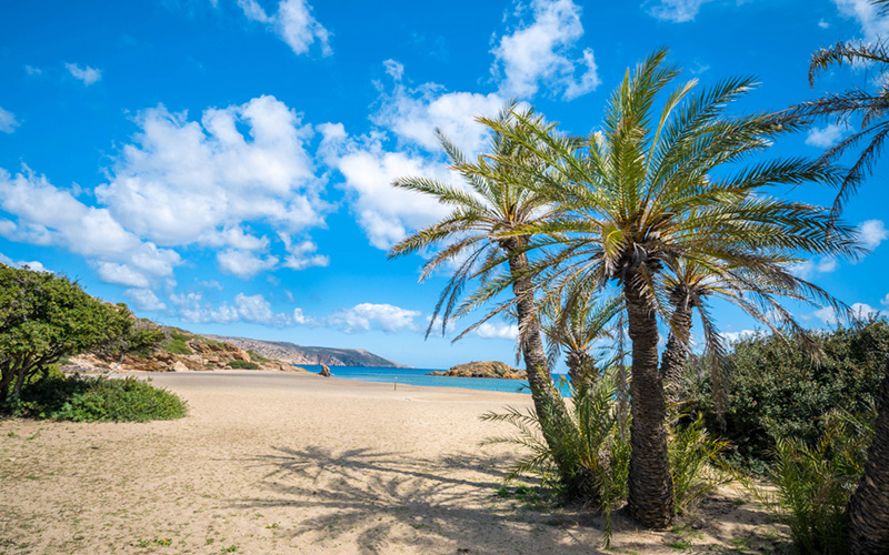 Wit strand met palmbomen