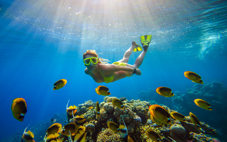 Een persoon is aan het snorkelen in de zee van Gran Canaria met veel vissen en koraal