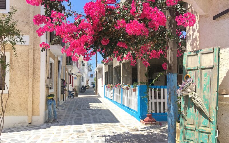Rue du village grec de Kardamena sur l'île de Kos. Des fleurs de bougainvilliers éclatantes ornent la ville