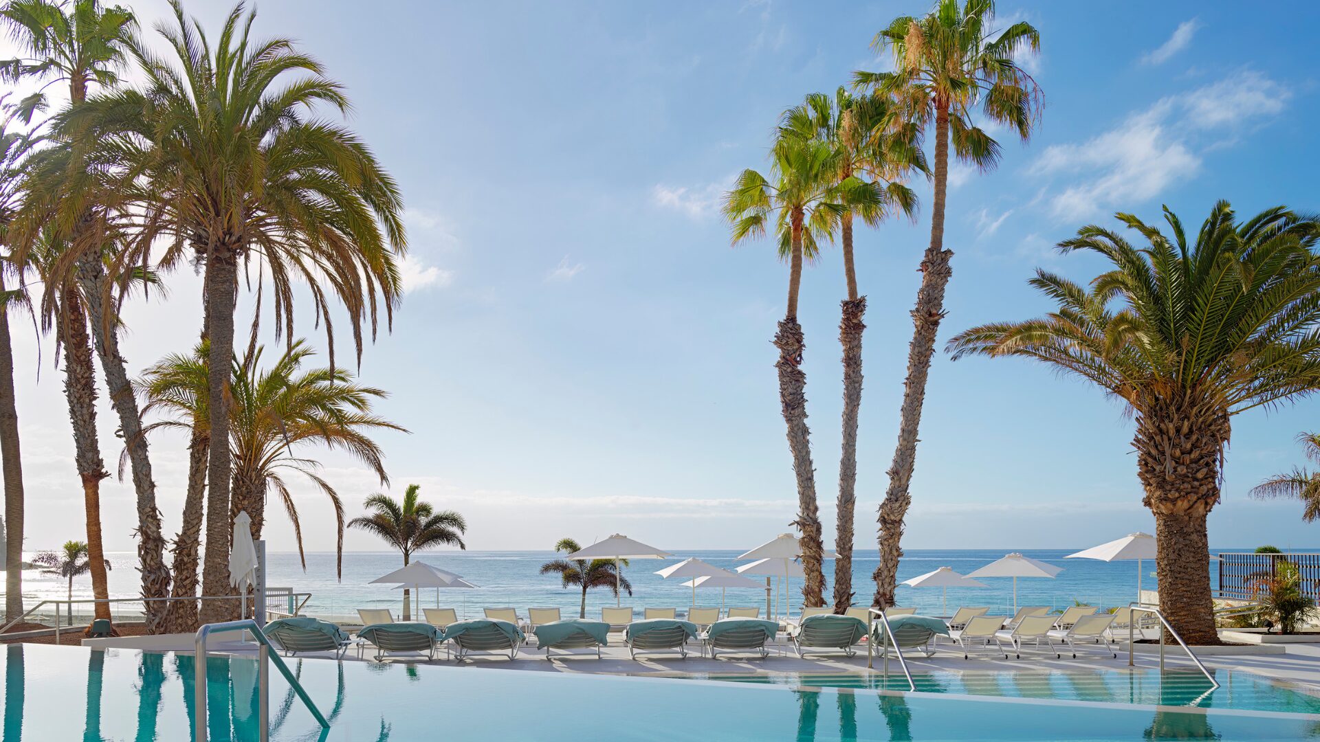 palmbomen zee parasols infinity pool holiday