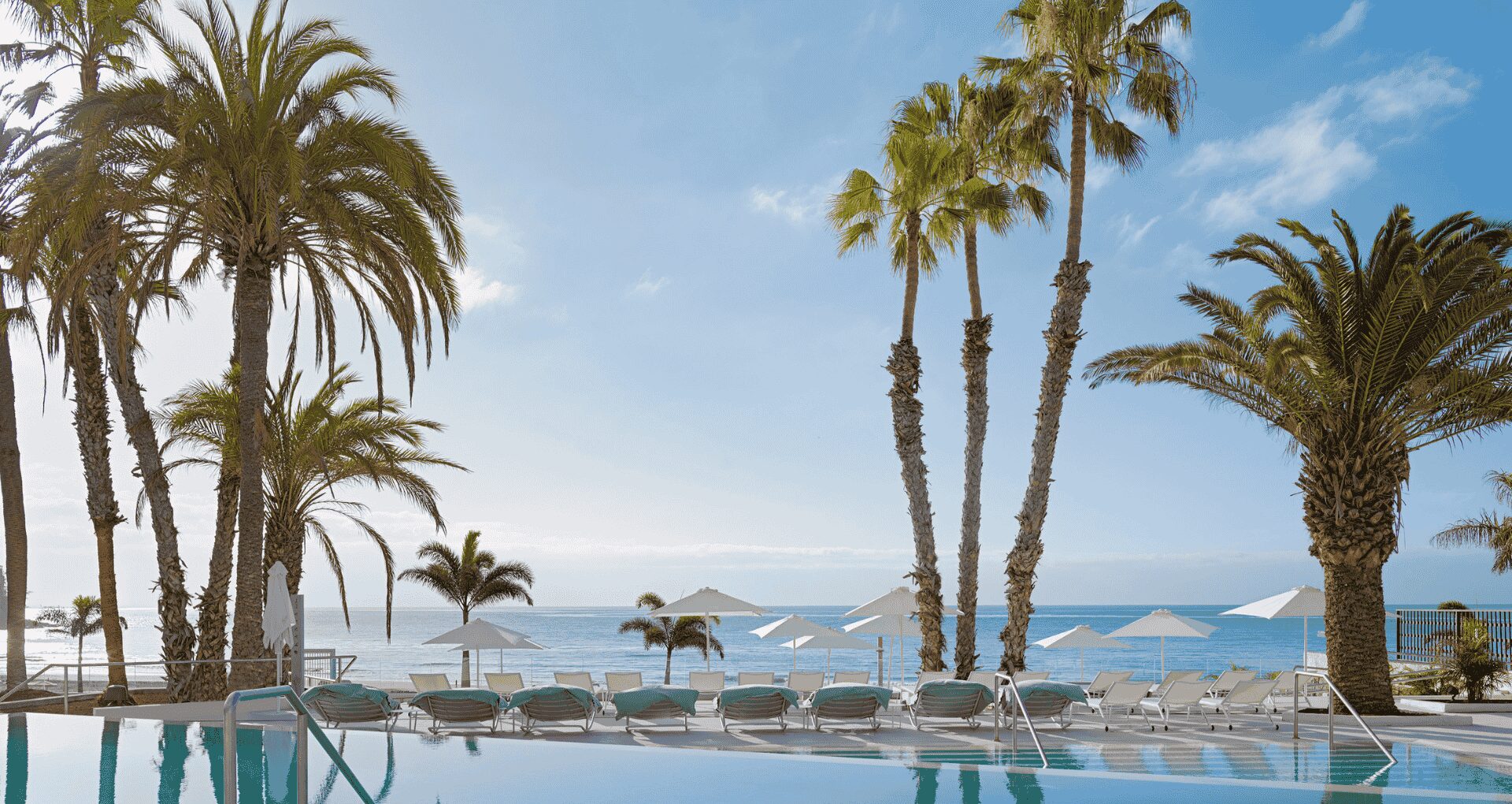 Paradisus Melia Gran Canaria palmbomen