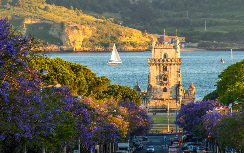 Tour de Belem, Jacaranda fleurissant d'Arbres Bleus Violets et bateau à voile le soir ensoleillé. Heure d'or. Lisbonne, Portugal